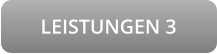 LEISTUNGEN 3