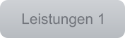 Leistungen 1